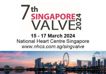 Sing VALVE 2024